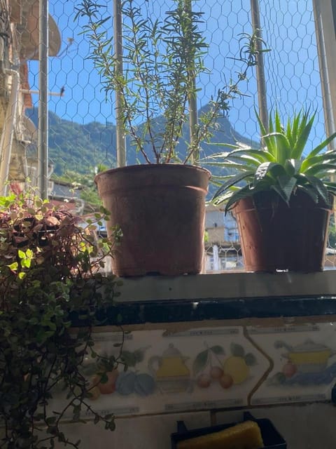 Casa Zona Sul Vacation rental in Rio de Janeiro