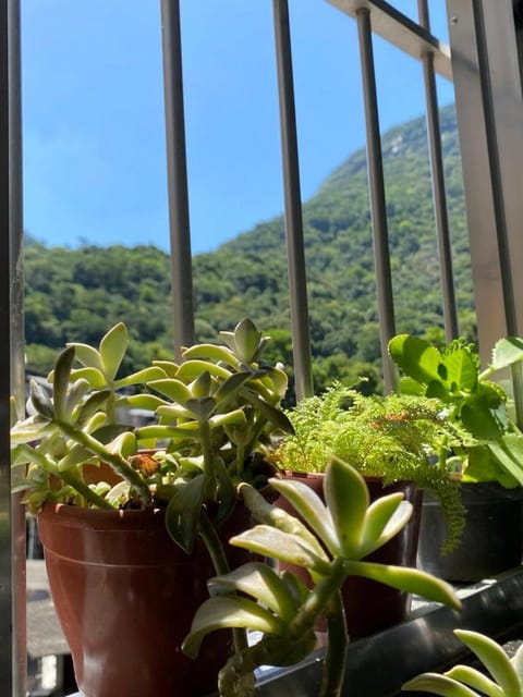 Casa Zona Sul Vacation rental in Rio de Janeiro