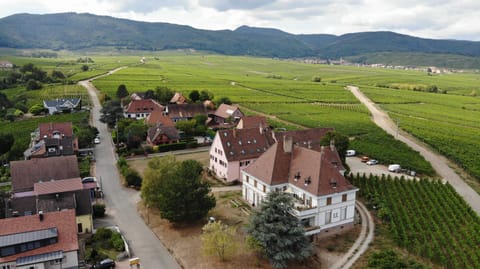 Neighbourhood, Bird's eye view, Landmark view