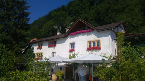 Ferien auf dem Weingut Apartment in Canton of Bern (Region)