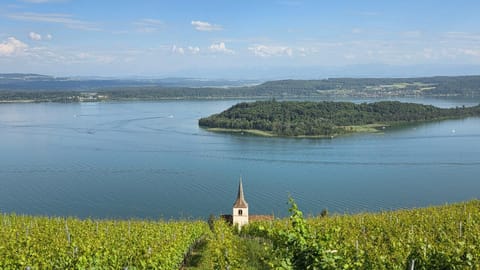 View (from property/room), Lake view