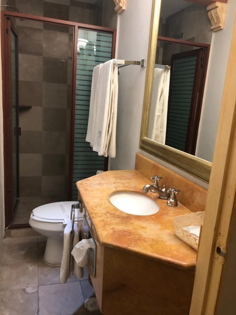 Hotel Elena Hotel in Puebla