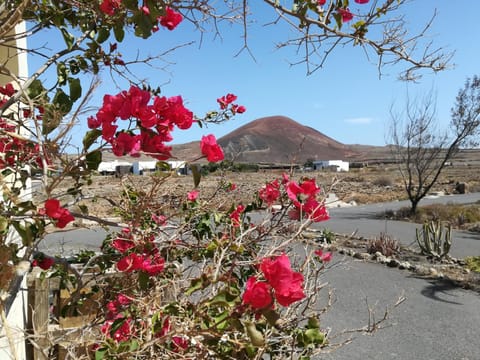 Natural landscape