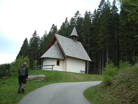 Natural landscape