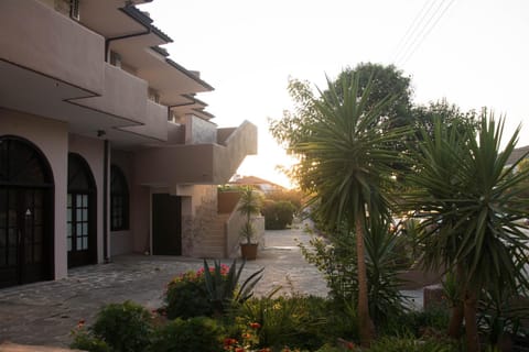 Palm Tree Apartments Apartment in Halkidiki