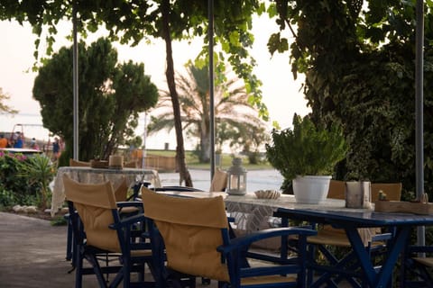 Palm Tree Apartments Apartment in Halkidiki