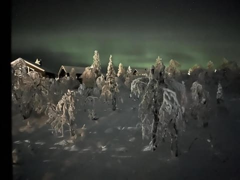 Neighbourhood, Natural landscape, Winter