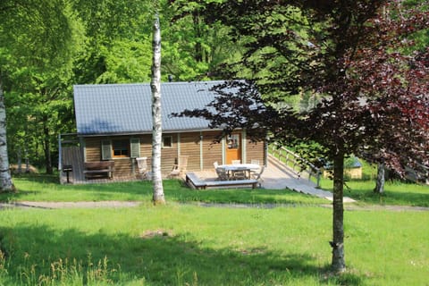 le nid des Mésanges Chalet in Wallonia, Belgium