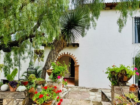 Garden, Garden view