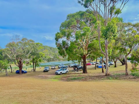 River view, Street view