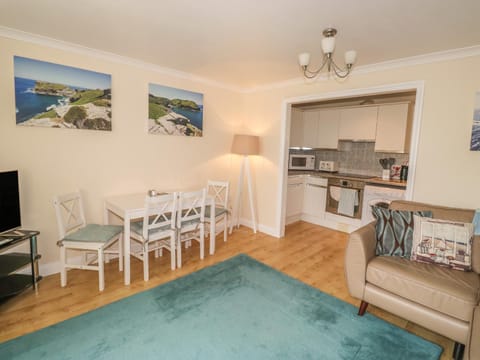 Kingfisher House House in Tintagel