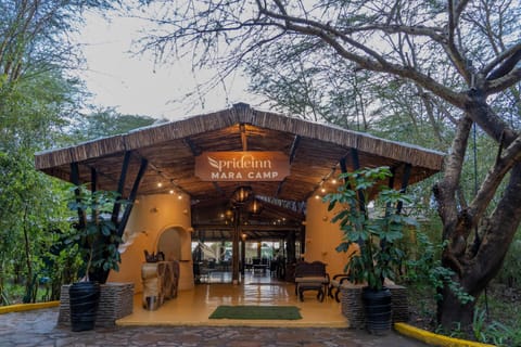 Day, Lobby or reception