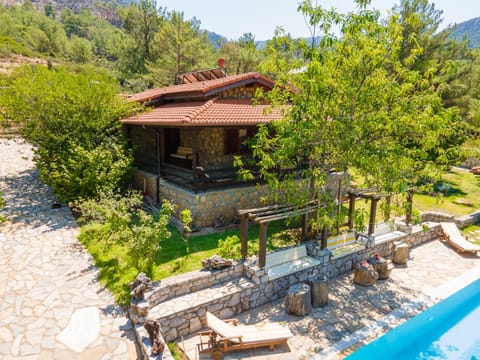 Natural landscape, Garden, Garden view, Pool view