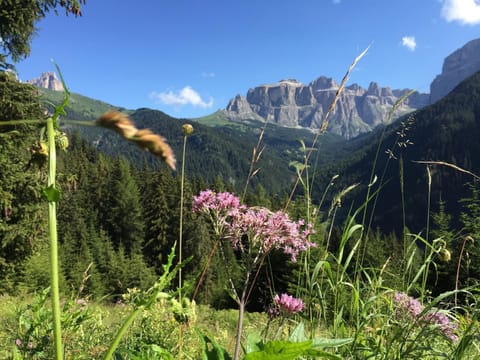 Natural landscape