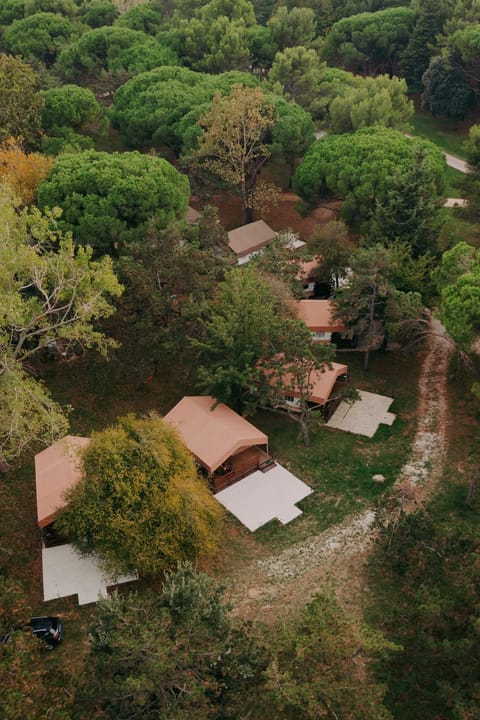 Natural landscape, Bird's eye view