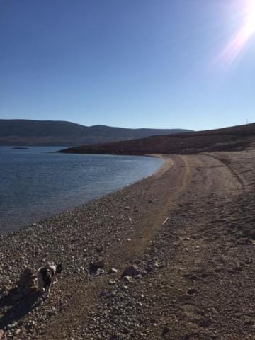 Apartmani Marica Apartment in Novalja