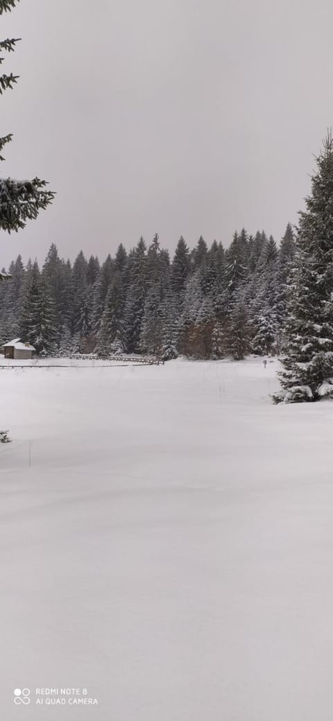 Vila Balerina Nature lodge in Zlatibor District, Serbia