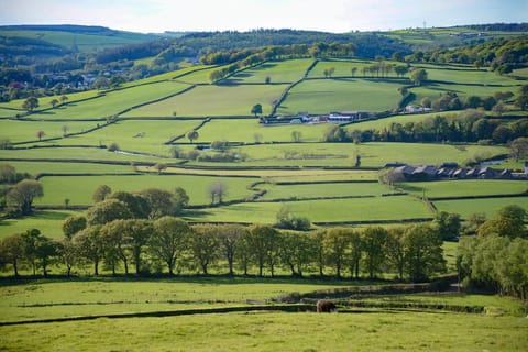 Spring, Day, Natural landscape, View (from property/room), Hiking, On site