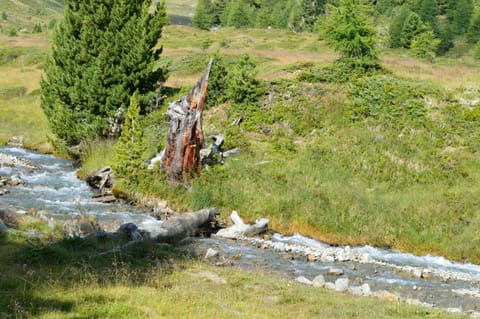 Natural landscape, Hiking