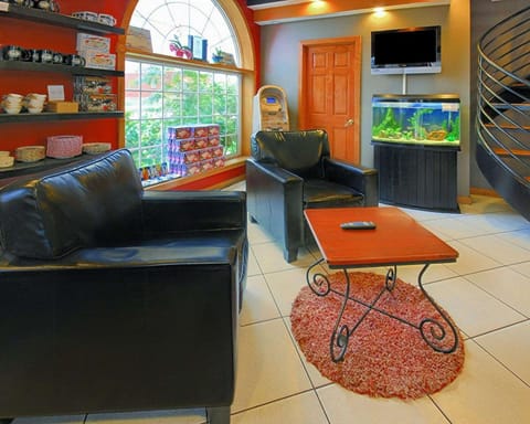 Lobby or reception, On site