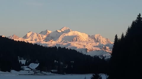 Prazdelys Apartment in Haute-Savoie