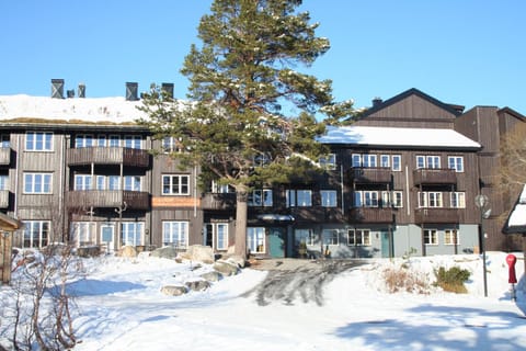 Facade/entrance, Winter