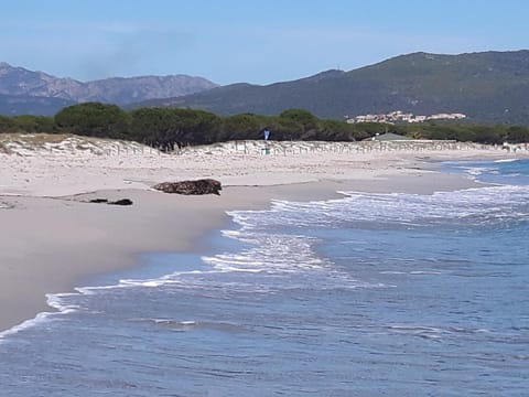 casa Angy Apartment in Budoni