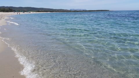 casa Angy Apartment in Budoni