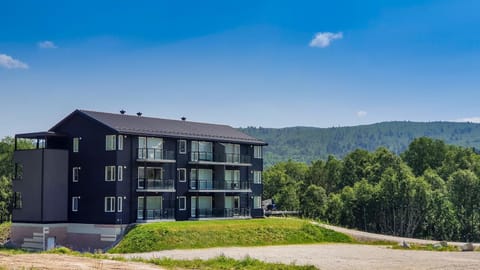 Property building, Summer, On site