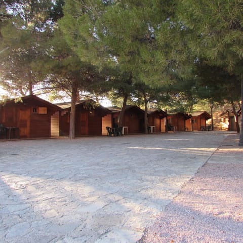 Day, Natural landscape