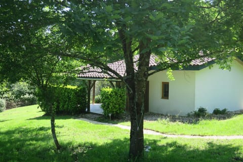 Garden, Balcony/Terrace