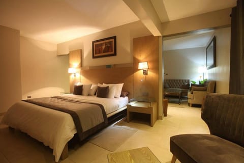 Bed, TV and multimedia, Living room, Photo of the whole room, Seating area, Bedroom