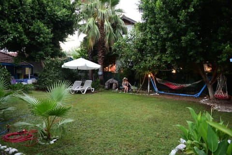 Garden, Sunset