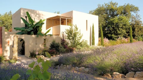 Property building, Spring, Day, Garden, Garden view