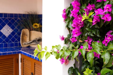 Garden, Decorative detail