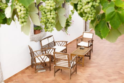 Patio, Garden, Garden view