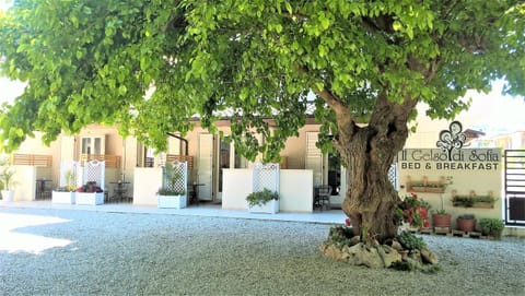 Property building, Facade/entrance, Garden