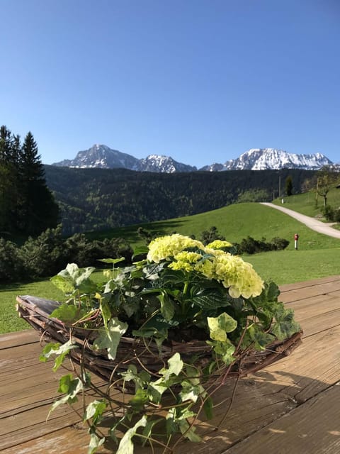 Haus Freynend Farm Stay in Berchtesgadener Land