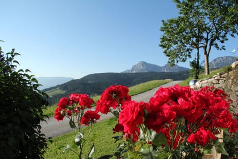Haus Freynend Farm Stay in Berchtesgadener Land