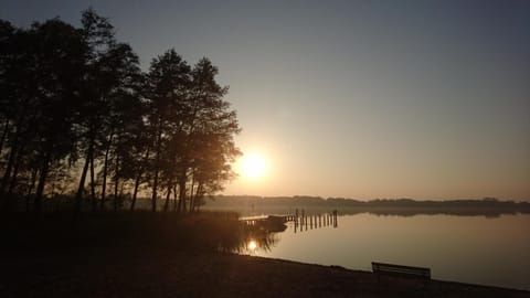 Lake view