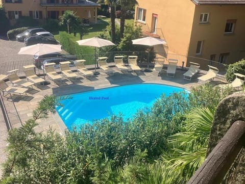 Garden, Pool view, Swimming pool, sunbed