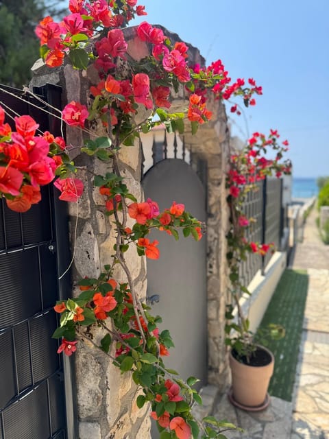 Natural landscape, Garden, Garden view