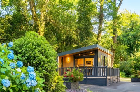 Property building, Spring, Day, Natural landscape, Garden, Garden view