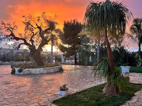 Garden view, Sunset