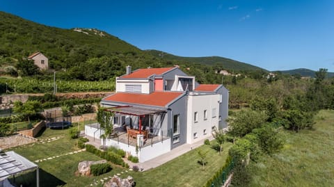 Luxury Villa Nadalina-Dicmo Villa in Split-Dalmatia County