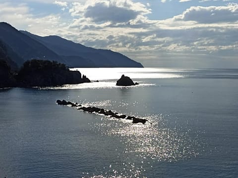 A Ca Du Barba Apartment in Monterosso al Mare
