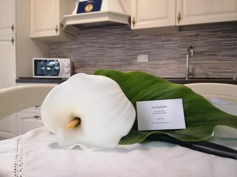 A Ca Du Barba Apartment in Monterosso al Mare