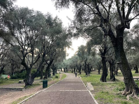 Una terrazza sul mare - Balzi Rossi Apartment in Liguria