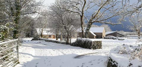 Fodol Cottages House in Wales