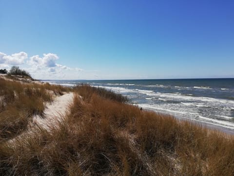 Apartamenty Turkusowe Apartment in Pomeranian Voivodeship